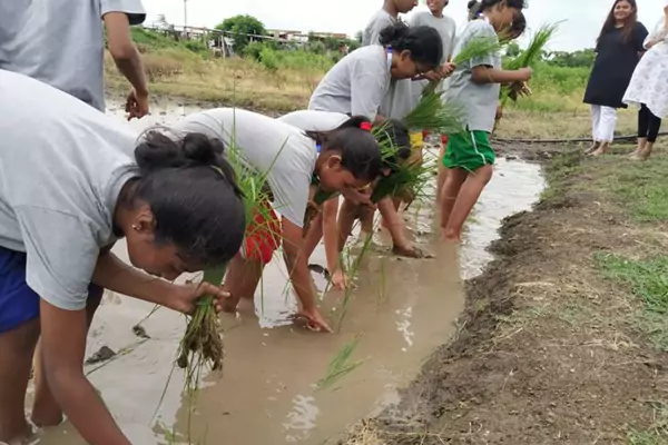 Schools with transportation in Manikonda